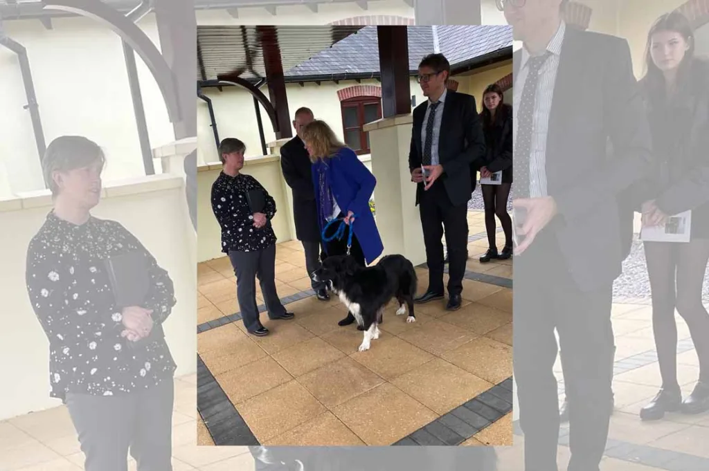 Dog at funerals