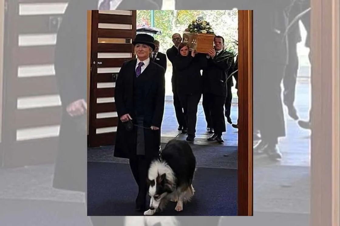 Dogs at funerals