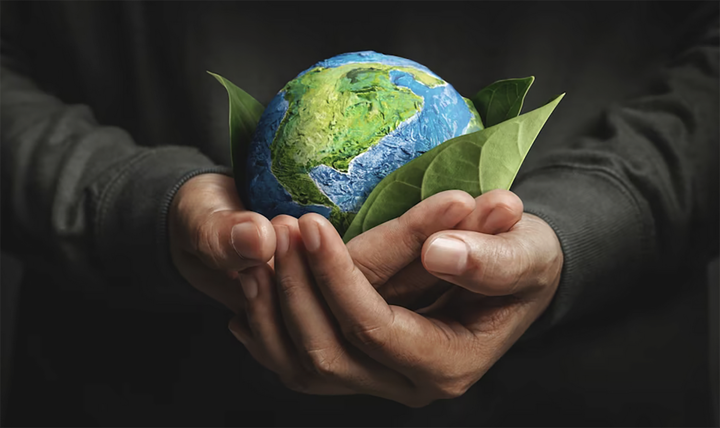 Sustainable Celebrant