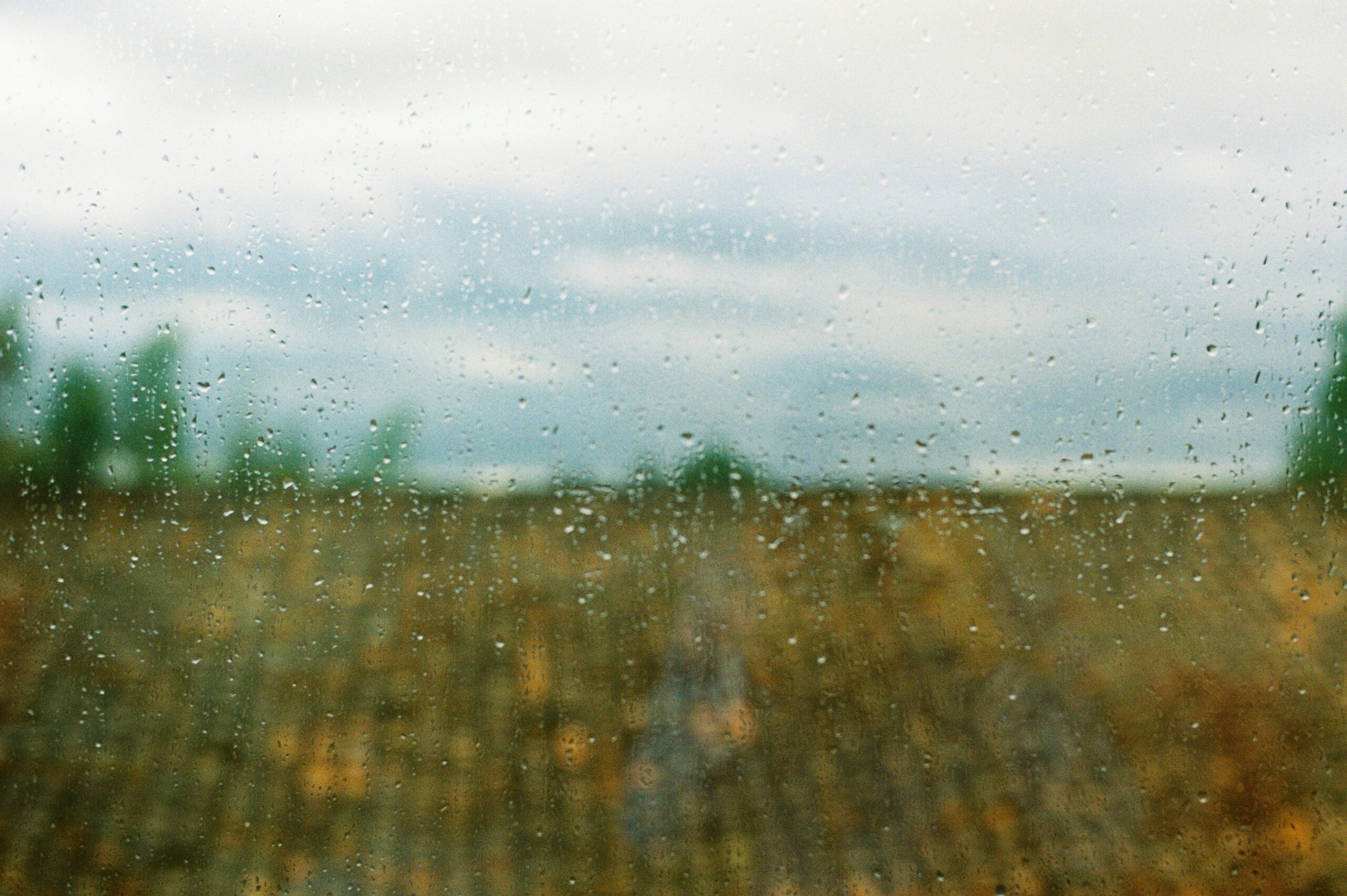 Working as a Funeral Celebrant When Living With Grief