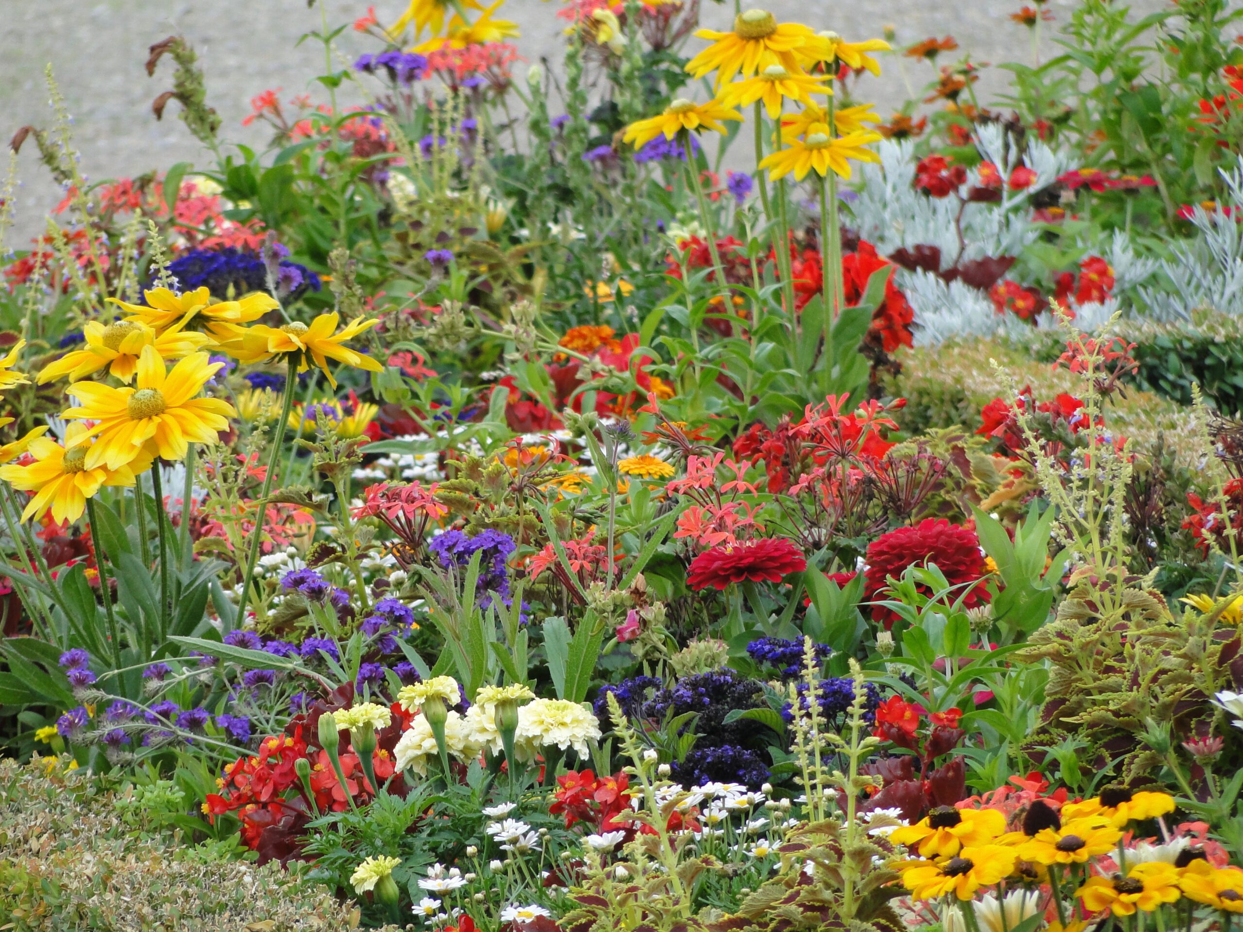 Diversity is like a field of flowers, all are flowers but all are different.